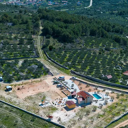House Olive Land