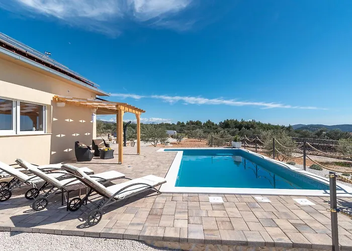 House Olive Land Gustirna